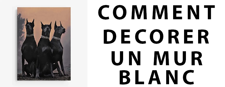 comment décorer un mur blanc avec des tableaux