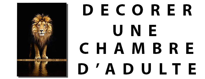 Comment décorer une chambre d'adulte