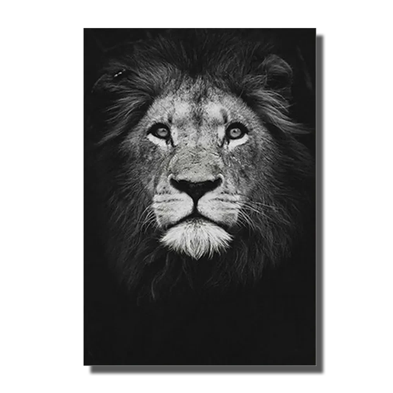 cadre lion noir et blanc