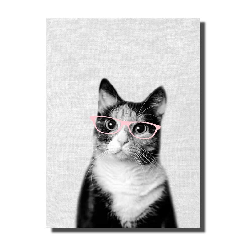 tableau chat noir et blanc