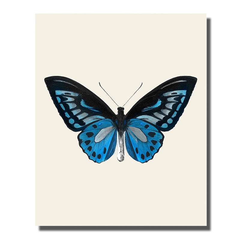 tableau ailes papillons