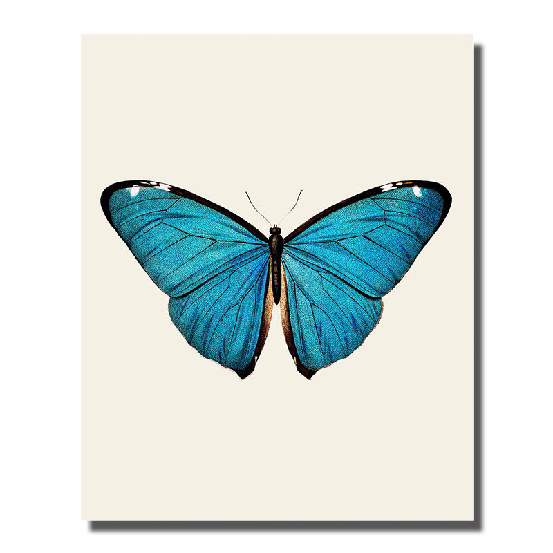 tableau aile de papillon