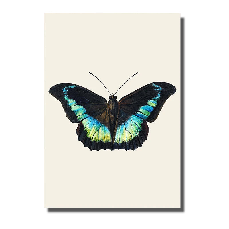 tableau ailes papillons