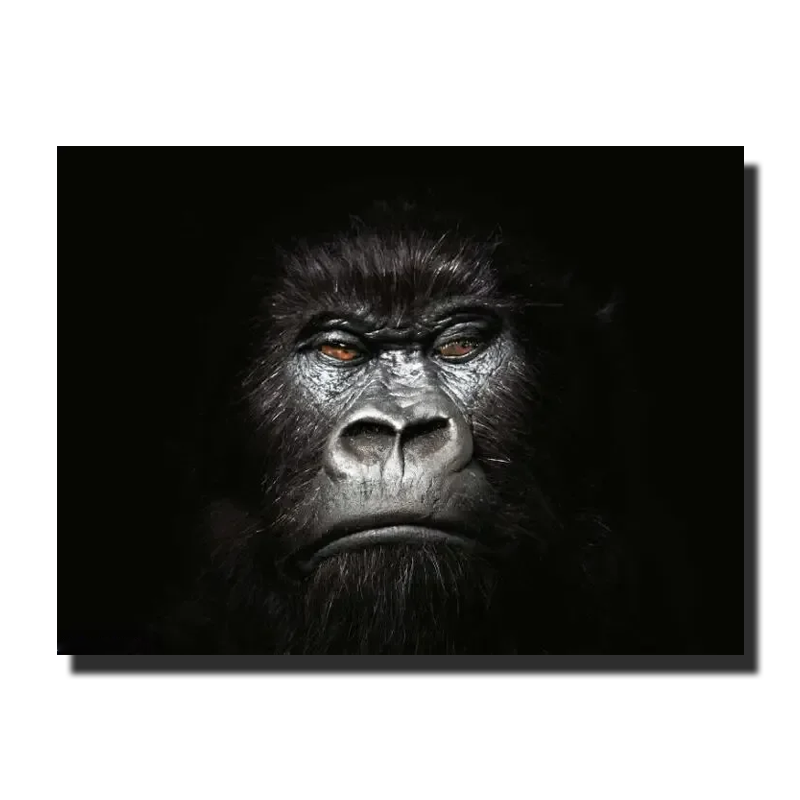tableau gorille