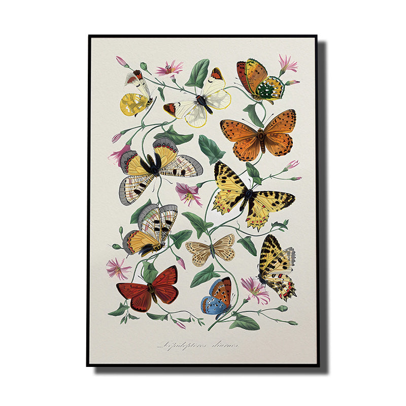 toile de papillon