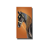 tableau cheval couleur