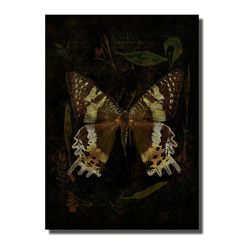 tableaux papillons