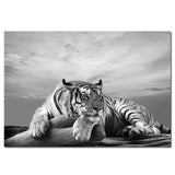 tableau noir et blanc tigre