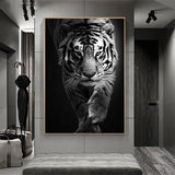 cadre tigre noir et blanc