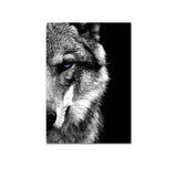 toile loup