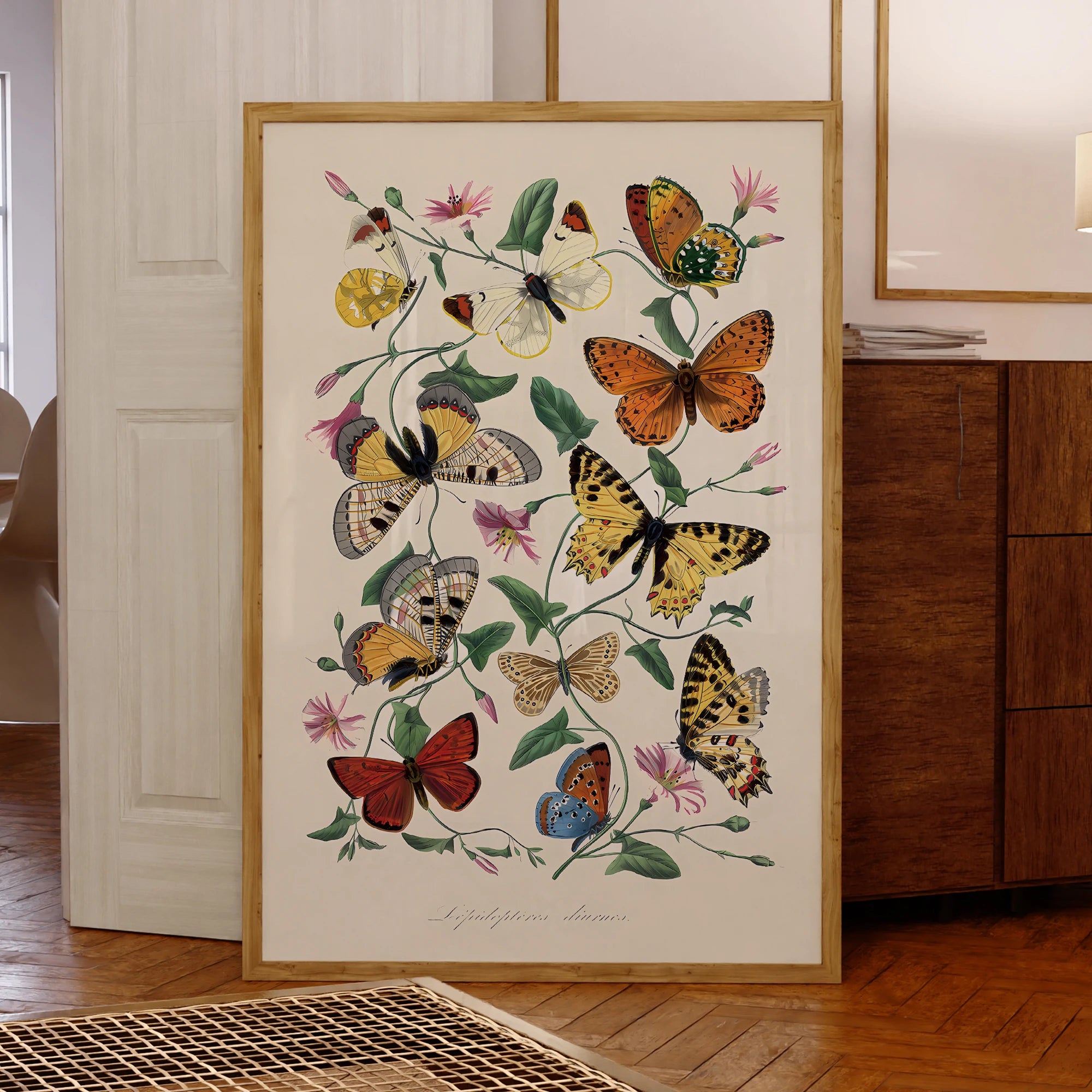 toile à papillon