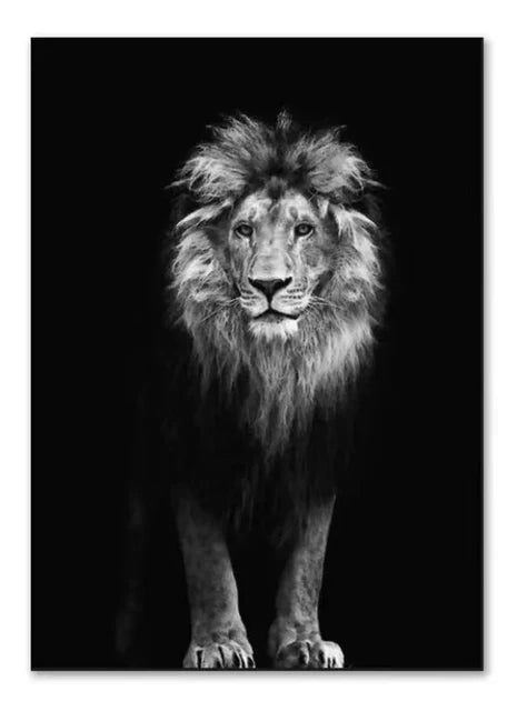 tableau noir et blanc lion