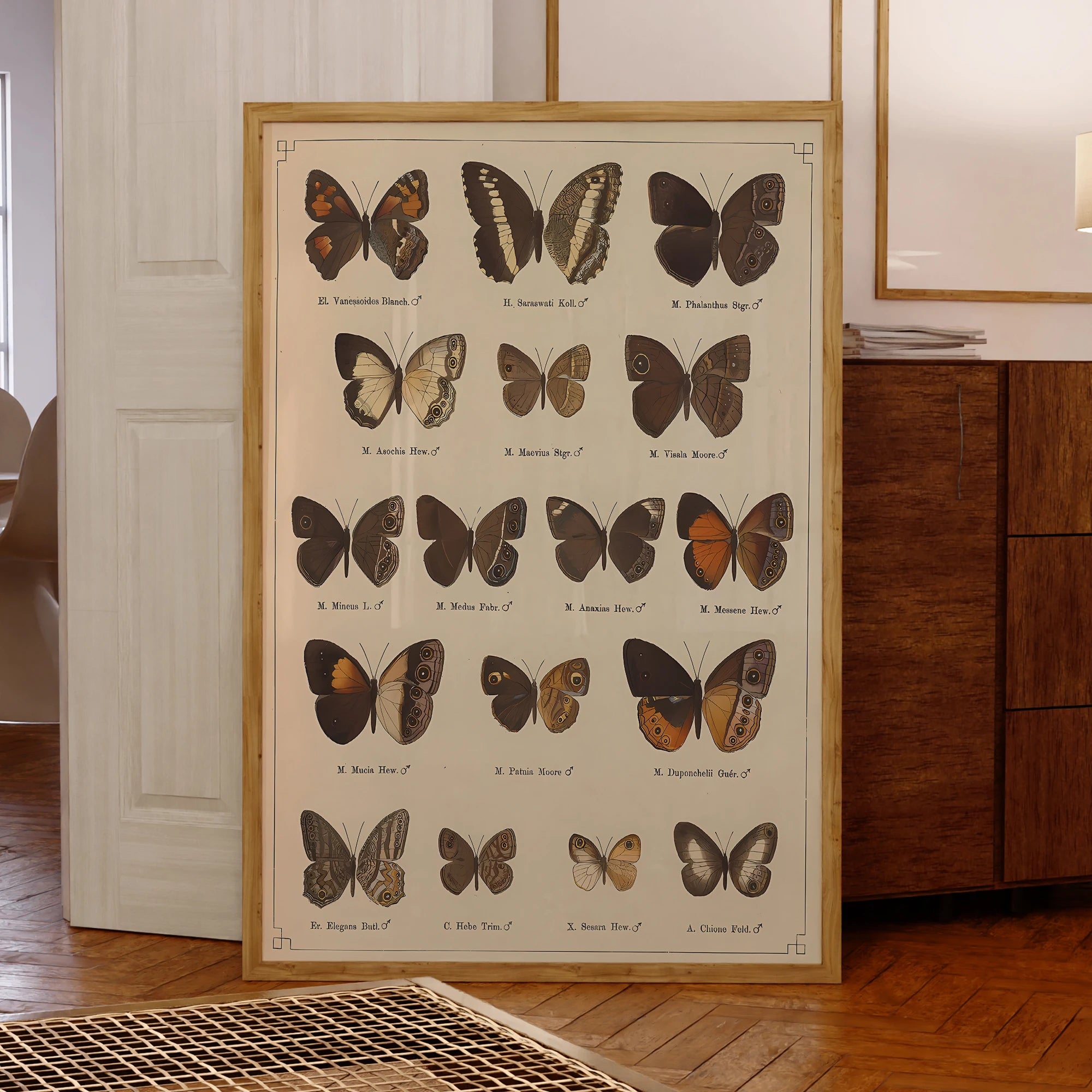 tableau à papillon