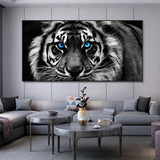 tableau tigre blanc yeux bleu