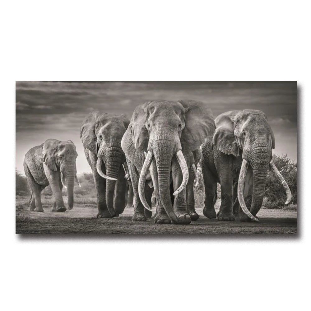 décoration tableau éléphant