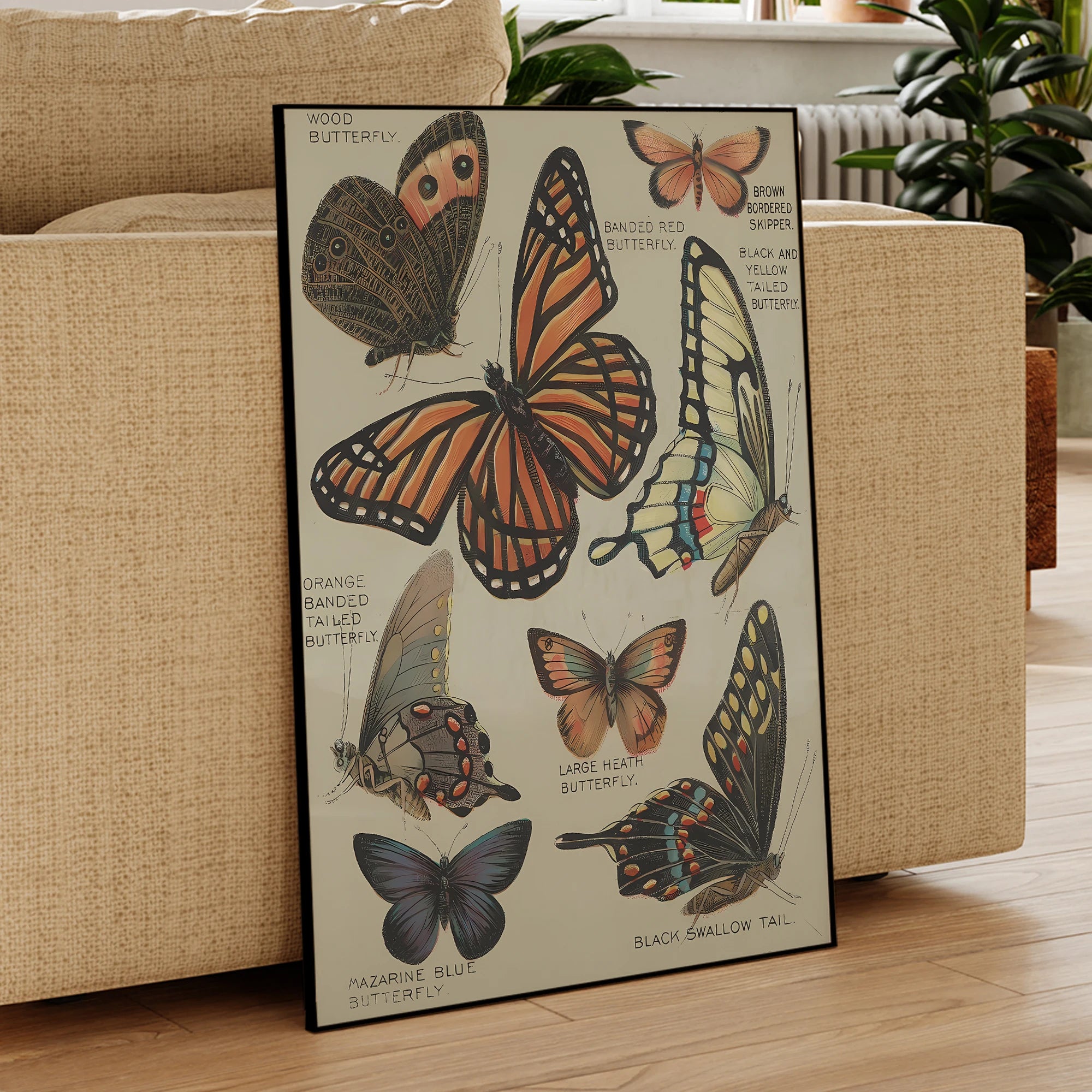 toile papillon