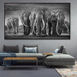 cadre éléphant