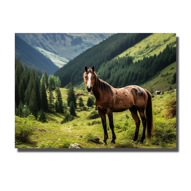 tableau photo cheval