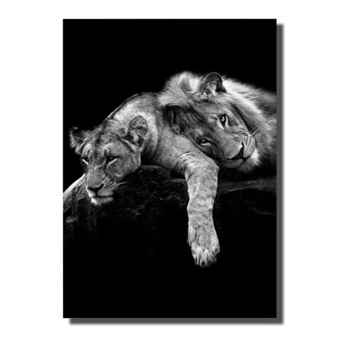 tableau lion lionne noir et blanc