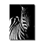 toile zebre