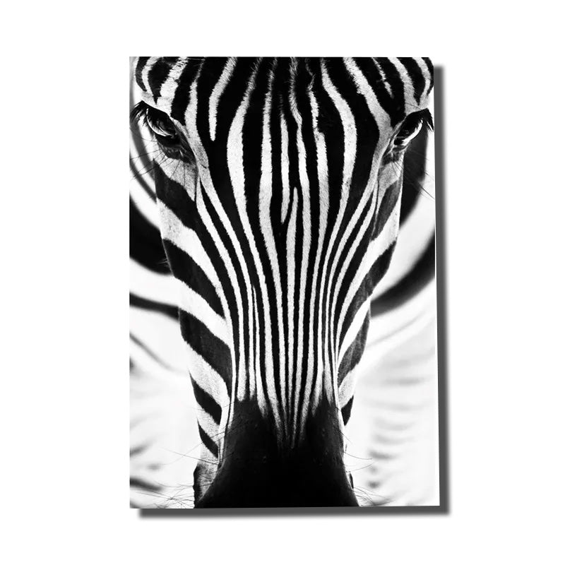 cadre photo zebre