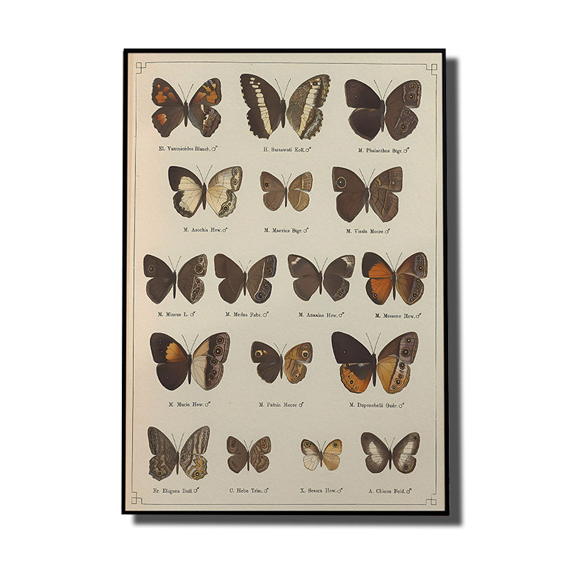 papillon toile