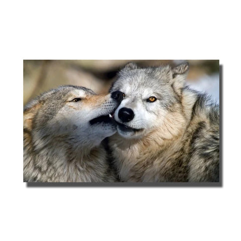 cadre photo loup