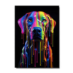 tableau chien coloré