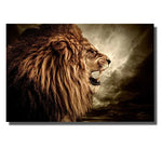 tableau photo lion