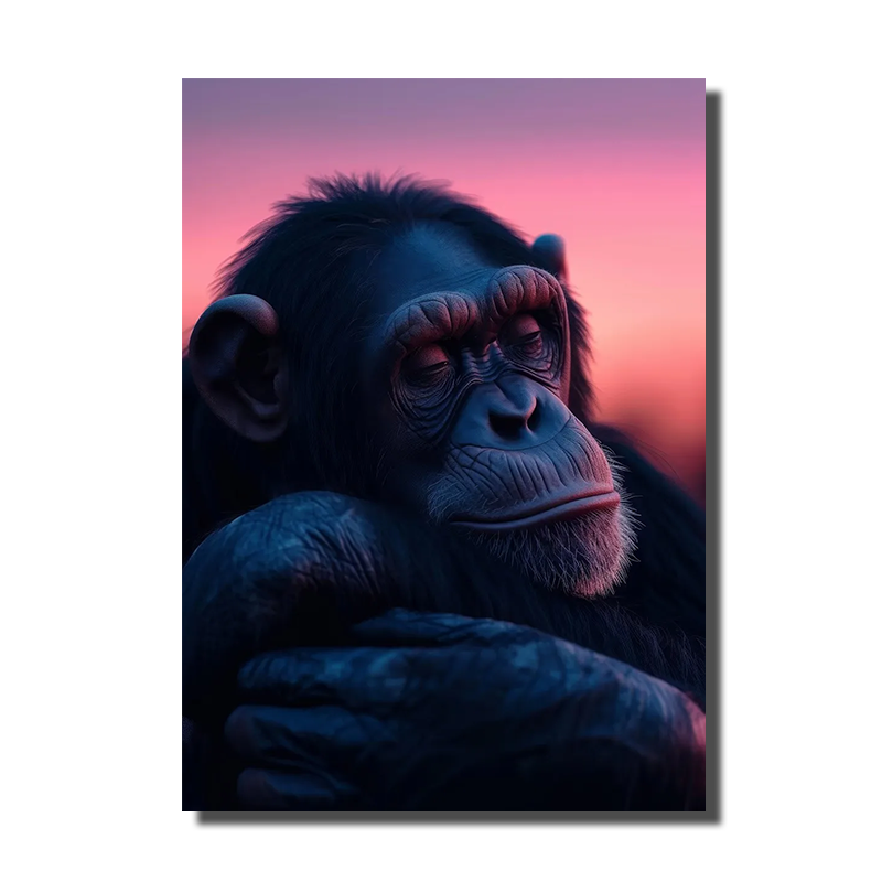 tableau tete de singe