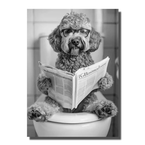 cadre de chien