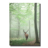 grand tableau cerf