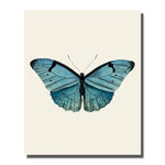 tableau papillon bleu