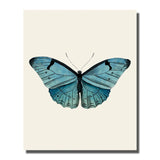 tableau papillon bleu