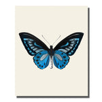 tableau ailes papillons