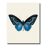 tableau ailes papillons