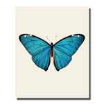 tableau aile de papillon