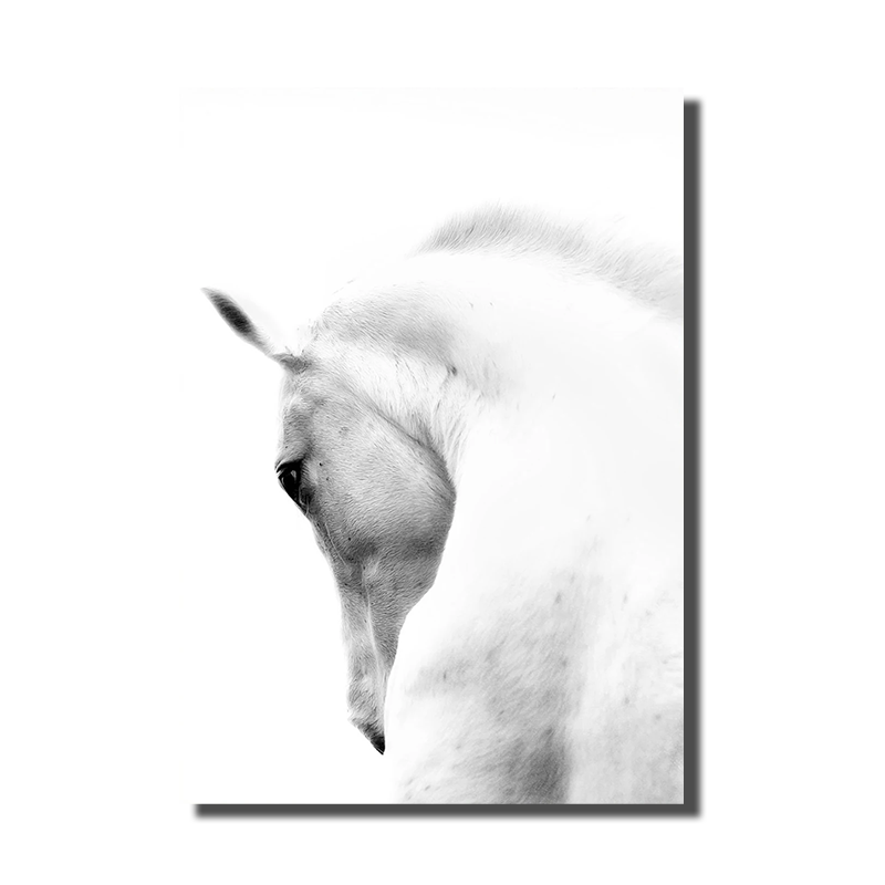 cheval blanc tableau