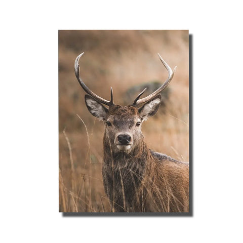 tete de cerf tableau