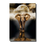 toile éléphant couleur