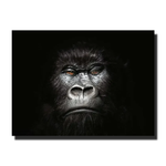 tableau gorille