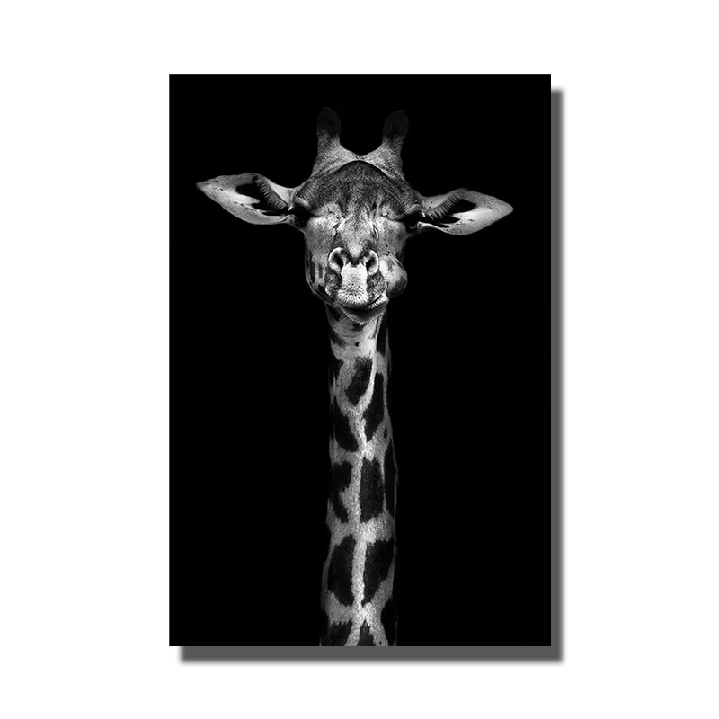 cadre photo girafe