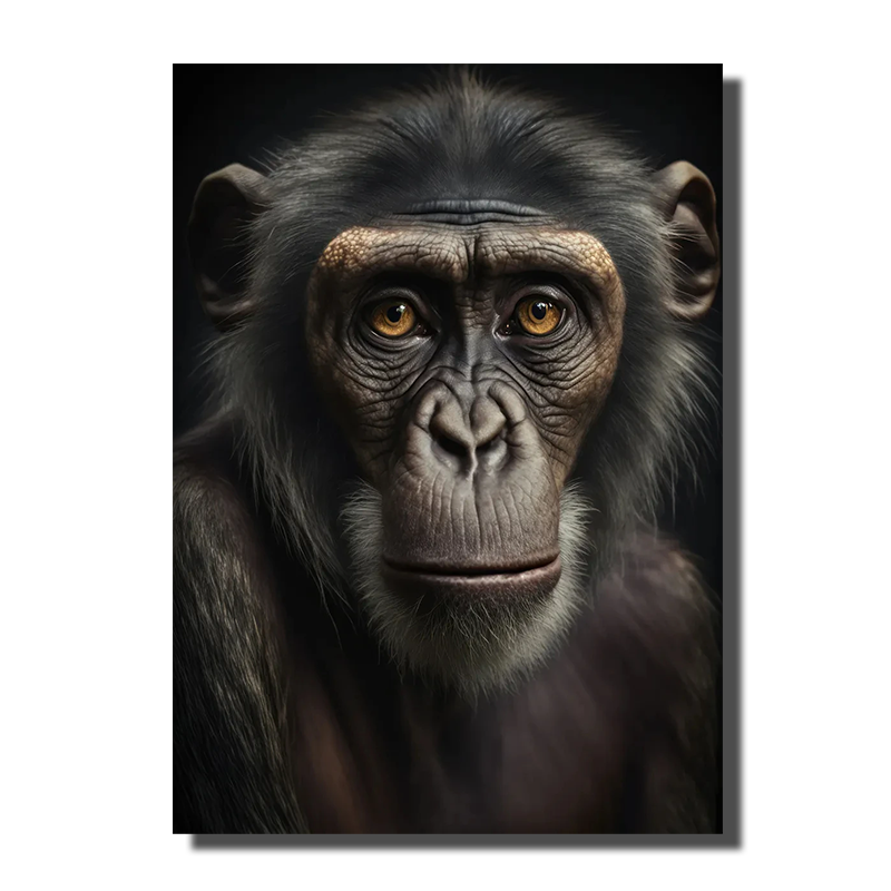 cadre avec singe