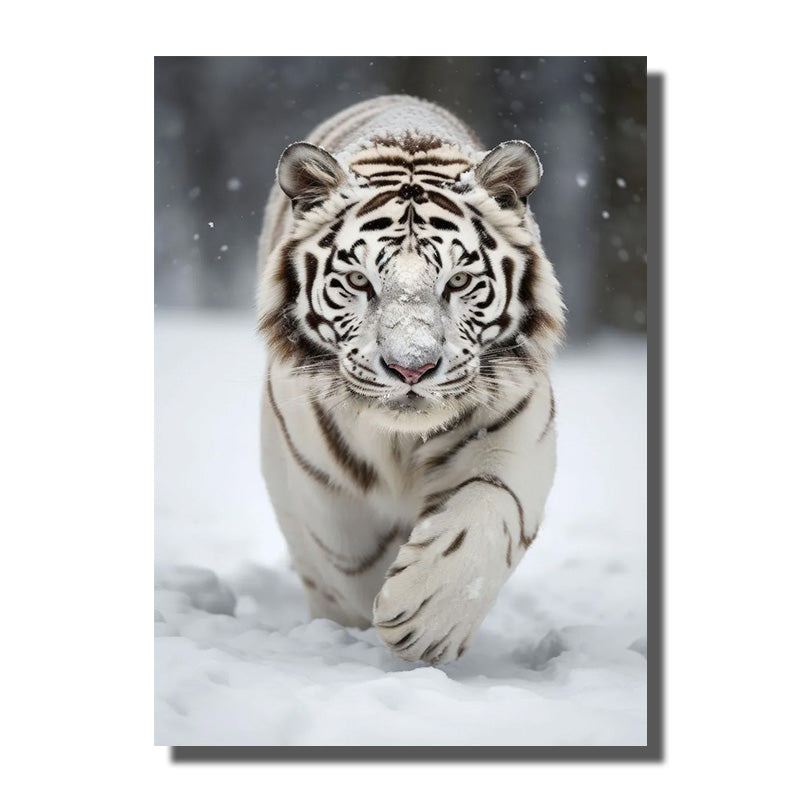 cadre tigre blanc