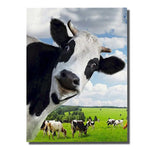 cadre de vache