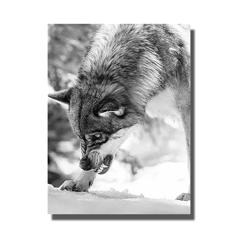 tableau noir et blanc loup