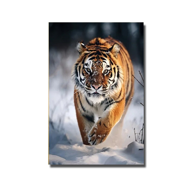 cadre photo tigre