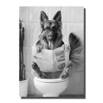 toile chien