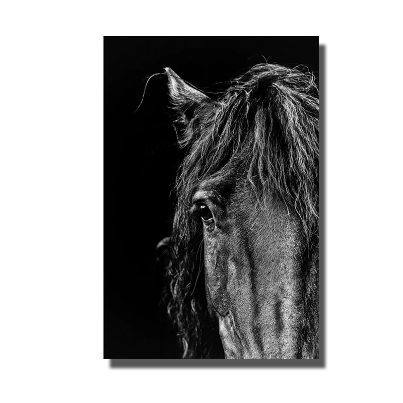 tableau cheval noir et blanc