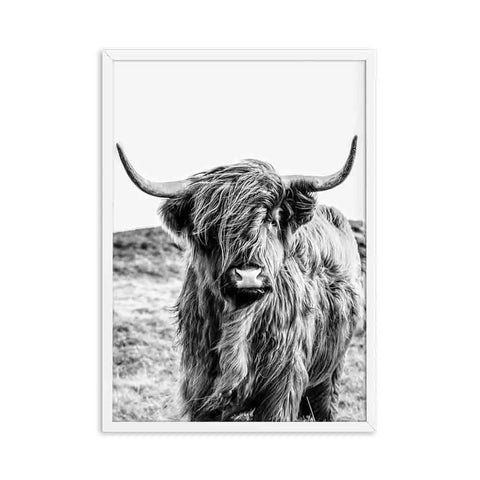 cadre vache noir et blanc